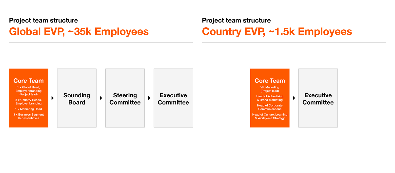 Example client project team structures based on two recent Maximum projects